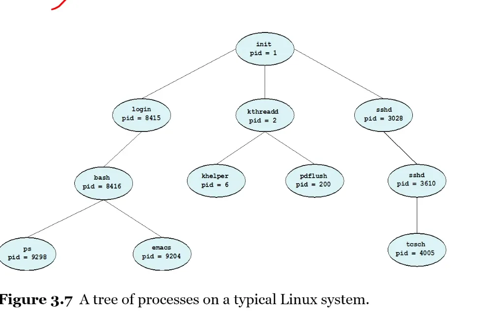 a tree of processes on a typical linux system.png